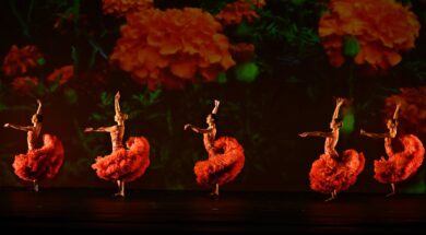 Civitanova Danza