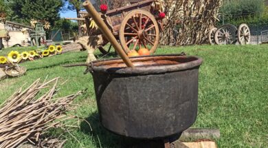 Sagra Polenta