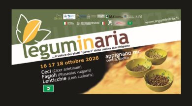 Leguminaria